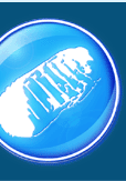 Home Logo Image